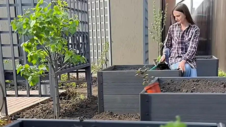 Отзывы о компании Woodgrand